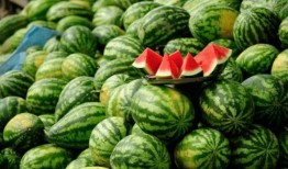 善堂网红吃瓜视频大全播放,揭秘娱乐圈幕后真相