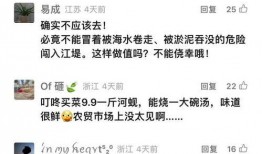 潮新闻爆料电话,揭秘神秘电话背后的惊人真相