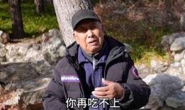 北京平安大爷最新爆料,最新爆料背后的惊人真相